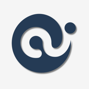 AN Enterprises Logo